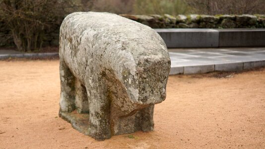 Sculpture boar vetones