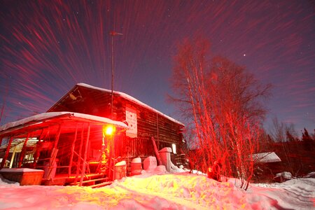 Snow winter red photo