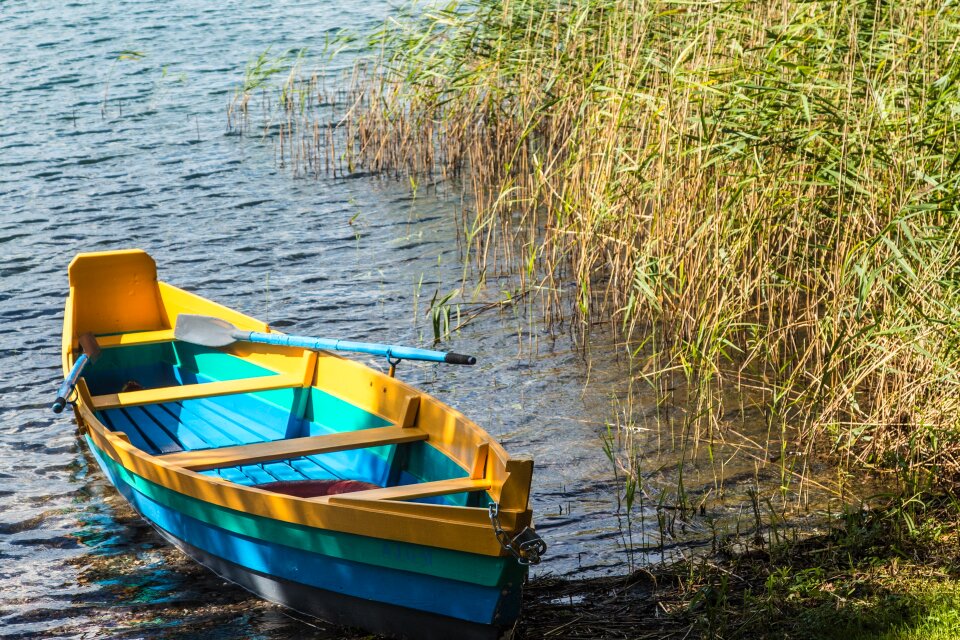 Nature lake landscape
