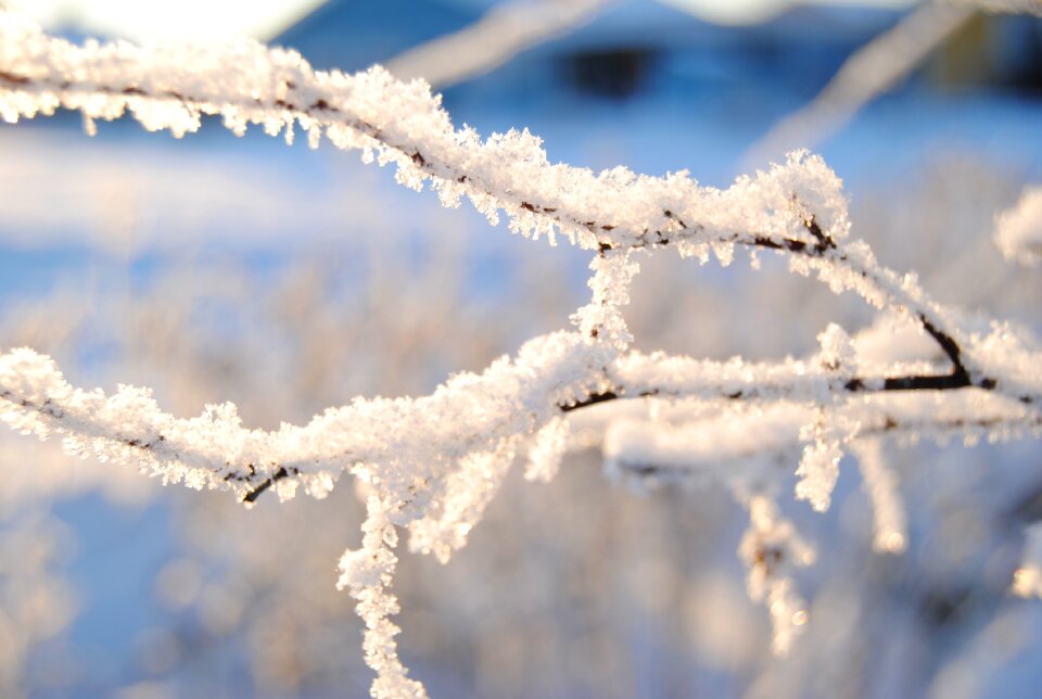 Sweden branch frozen