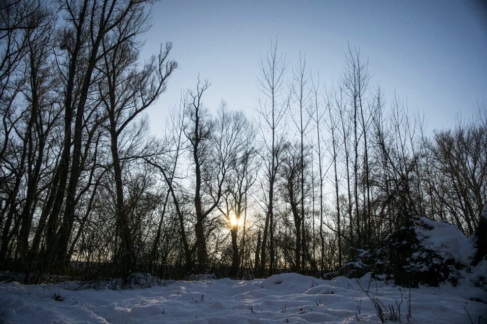 Nature frost cold