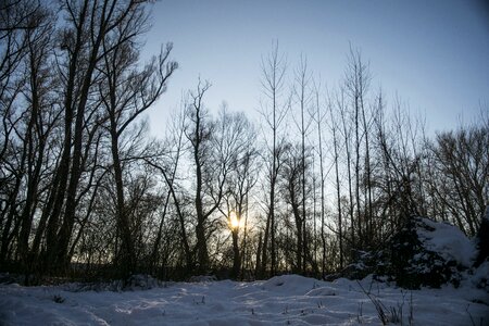 Nature frost cold