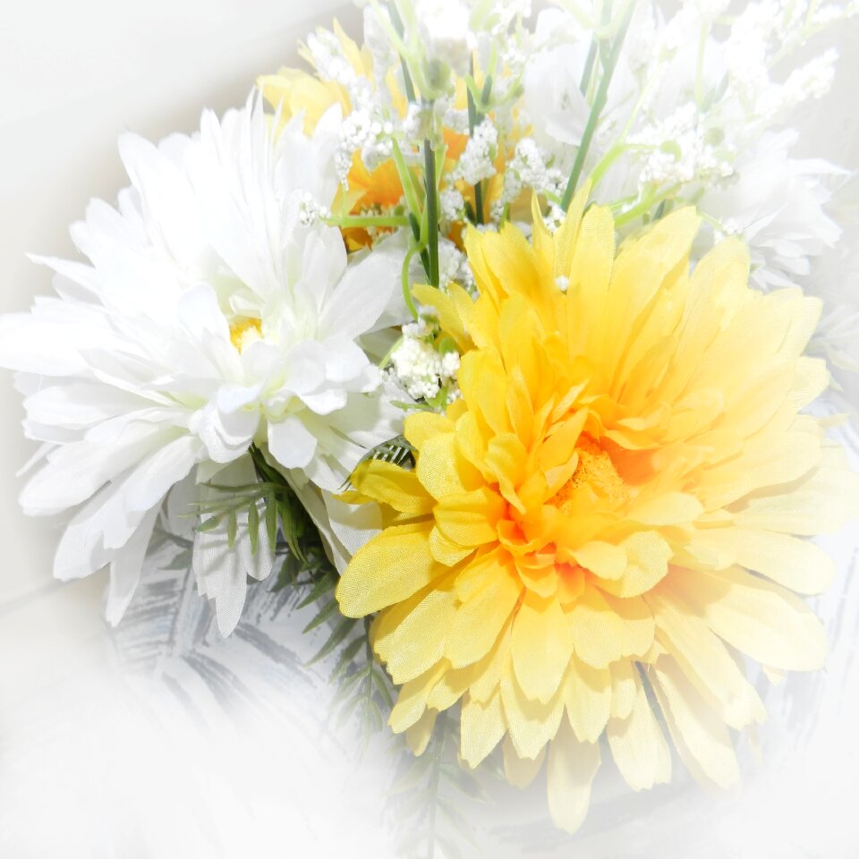 Flowers yellow white