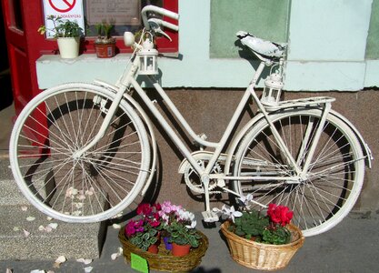 Romanticism nostalgia flower basket photo