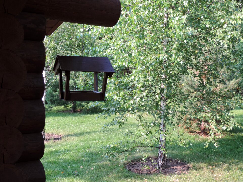Birdhouse dacha forest