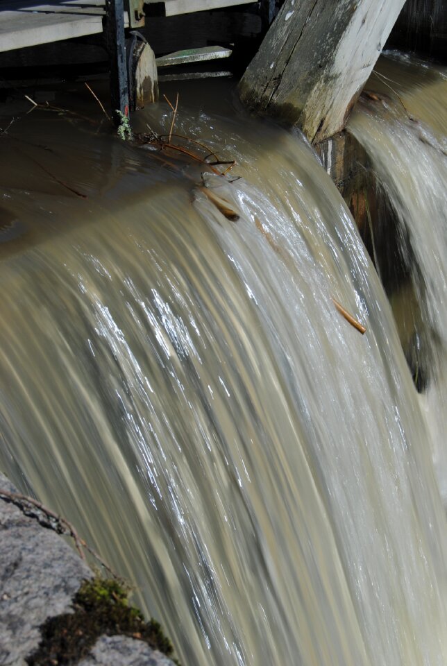 Wet channel moss
