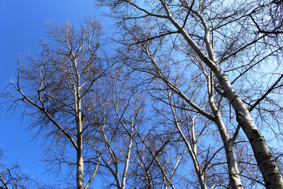 Sky sky view mood