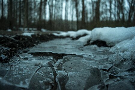Puddle frost nature
