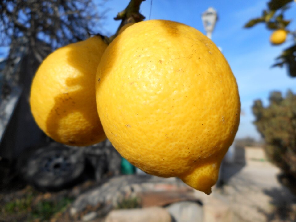 Yellow acidity mediterranean countryside