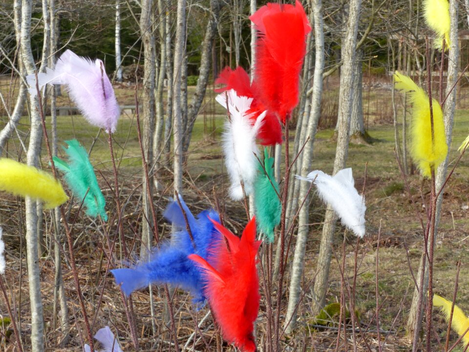 Outdoor tribes garden