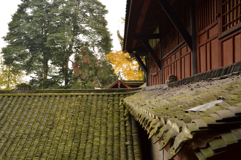 Moss tile-roofed house the scenery