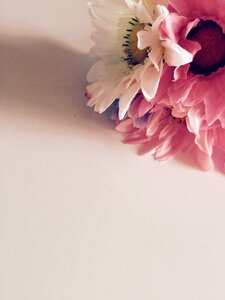 Flowers of the field daily romantic