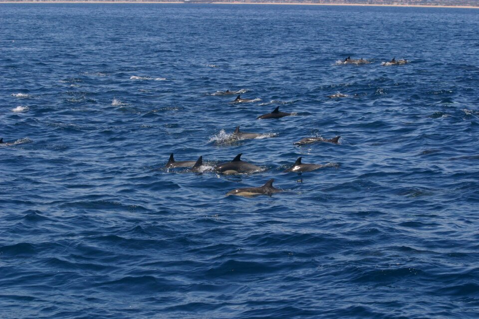 Holiday nature tourist attraction
