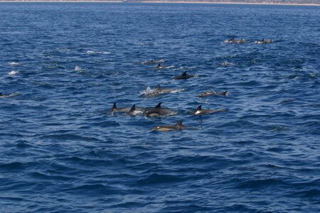 Holiday nature tourist attraction