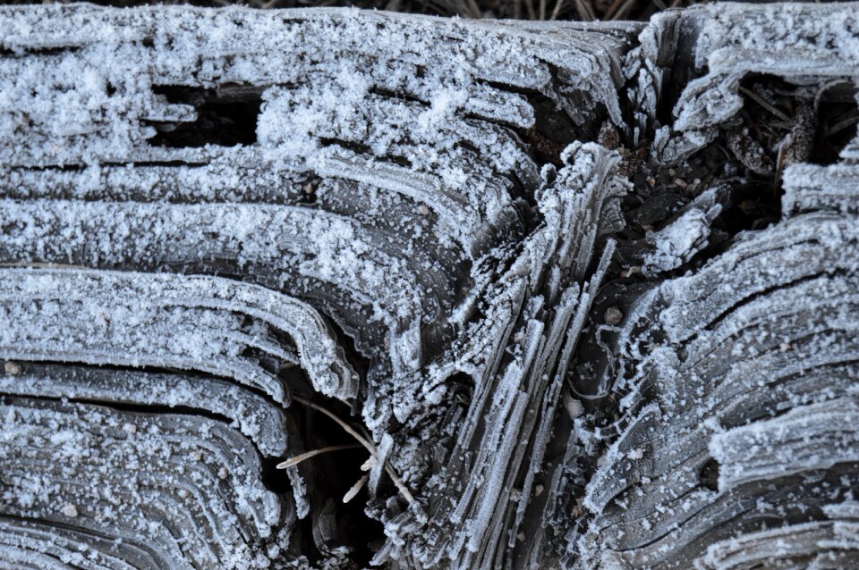 Cold frozen macro