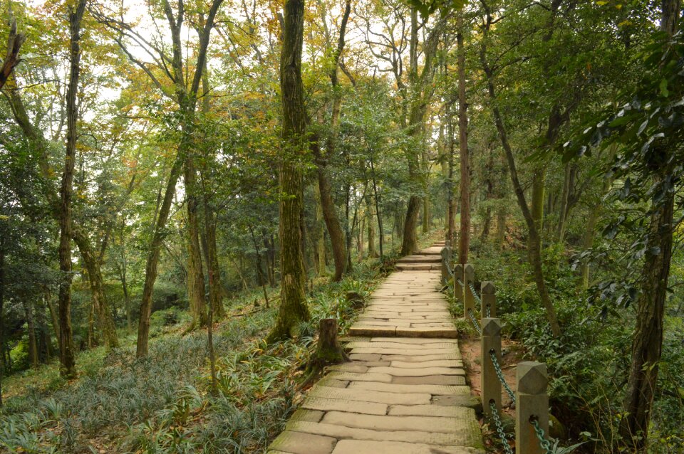 Qingcheng mountain lane the silence