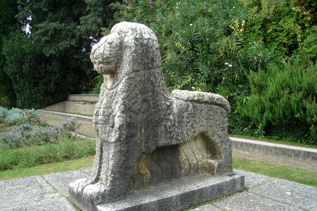 Lion stone sculpture photo