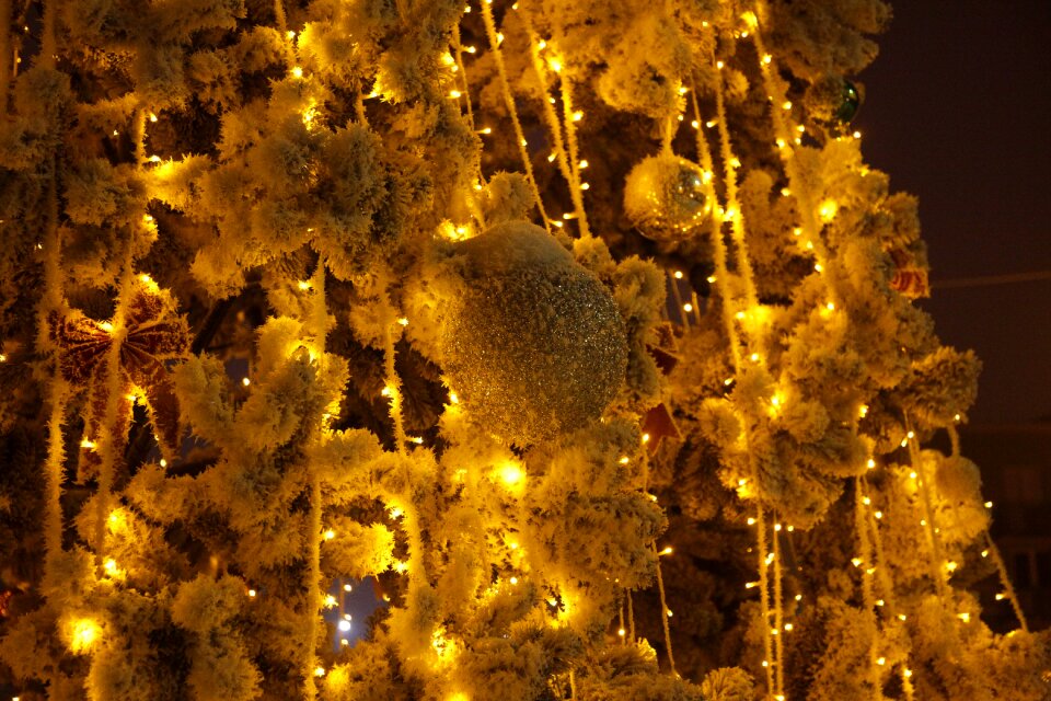 Golden spruce snow night