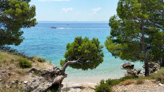 Adriatic tourism dalmatian