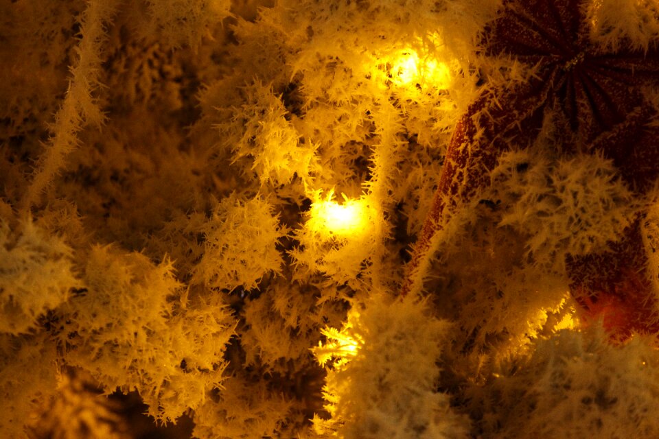 Rime new year's eve night