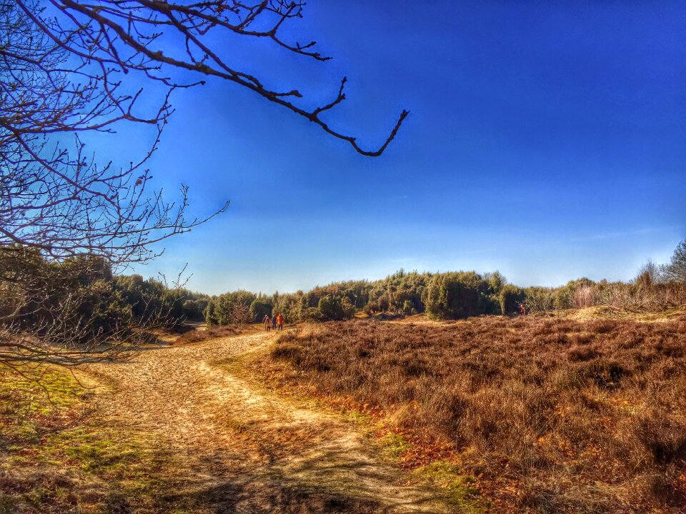 Drenthe mantingerveld heide