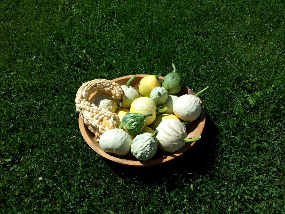 Autumn green seasonal
