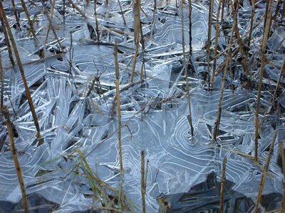 Nature cold winter