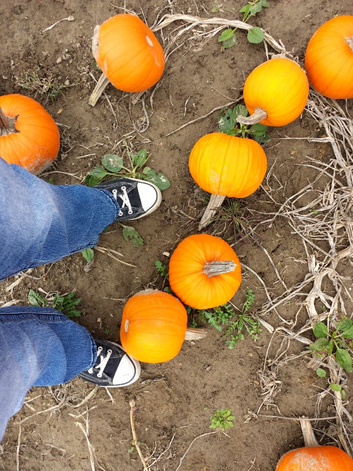 Shoes converse season