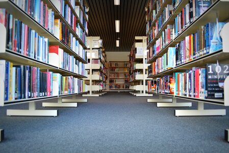 Bookmarks bookshelf symmetry