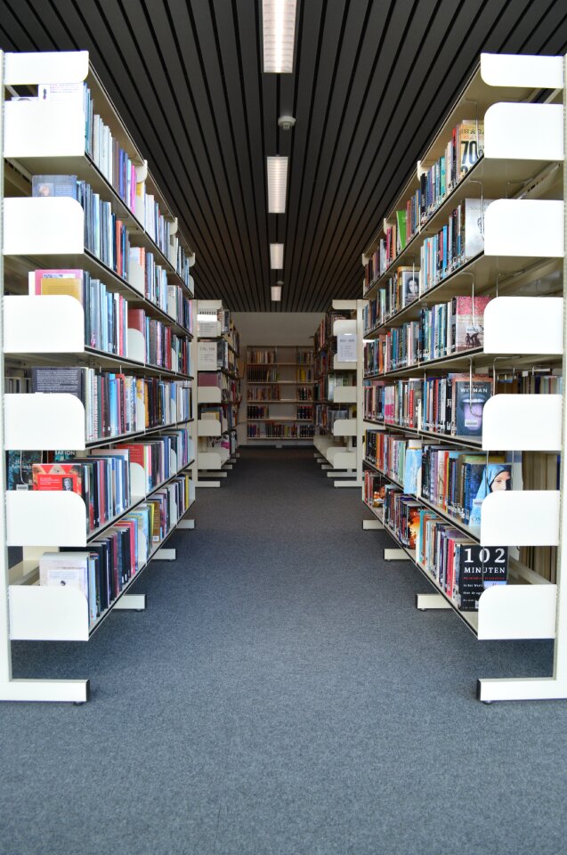 Bookmarks bookshelf symmetry