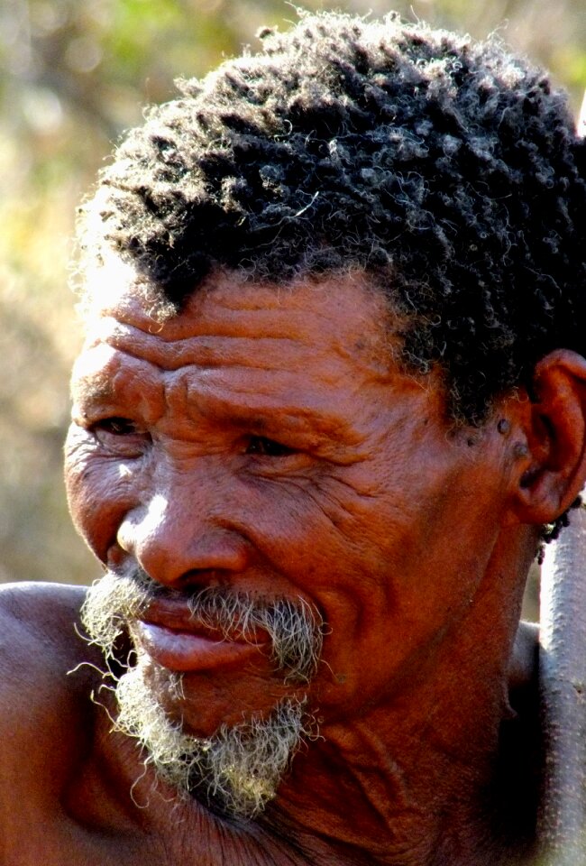 Wrinkled namibia