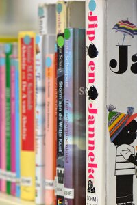 Book bookshelf jip and janneke