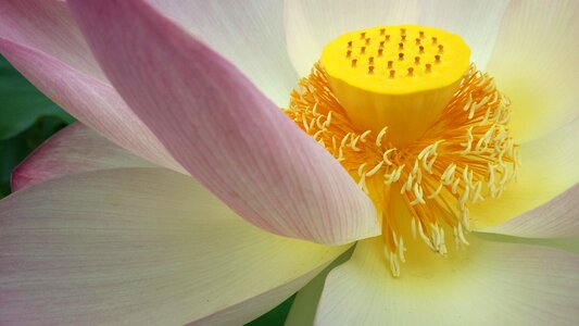 Symbol religion nature