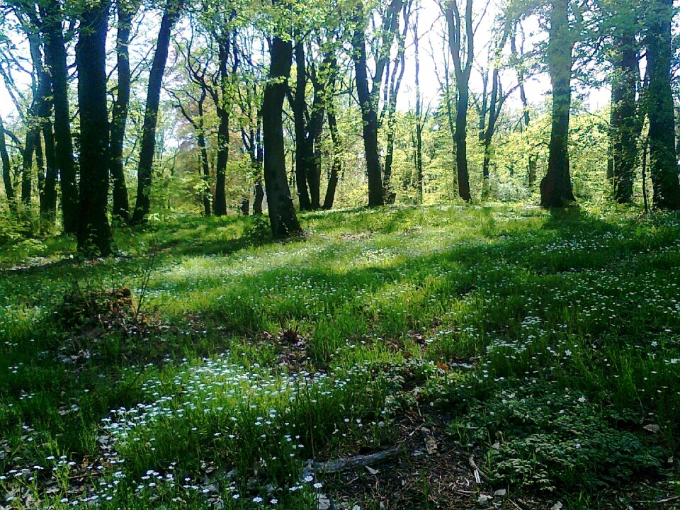 Spring babelsberg potsdam