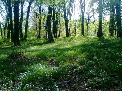 Spring babelsberg potsdam
