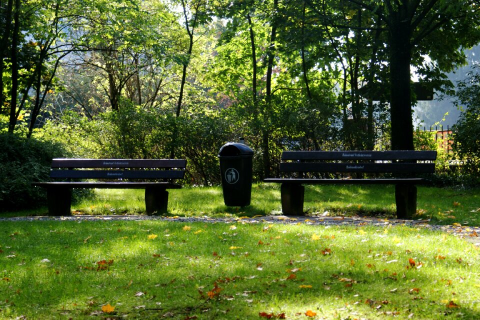 Trees nature recycle bin