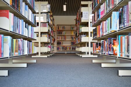 Bookmarks bookshelf symmetry