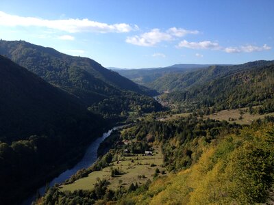 Forest transylvania calimani photo