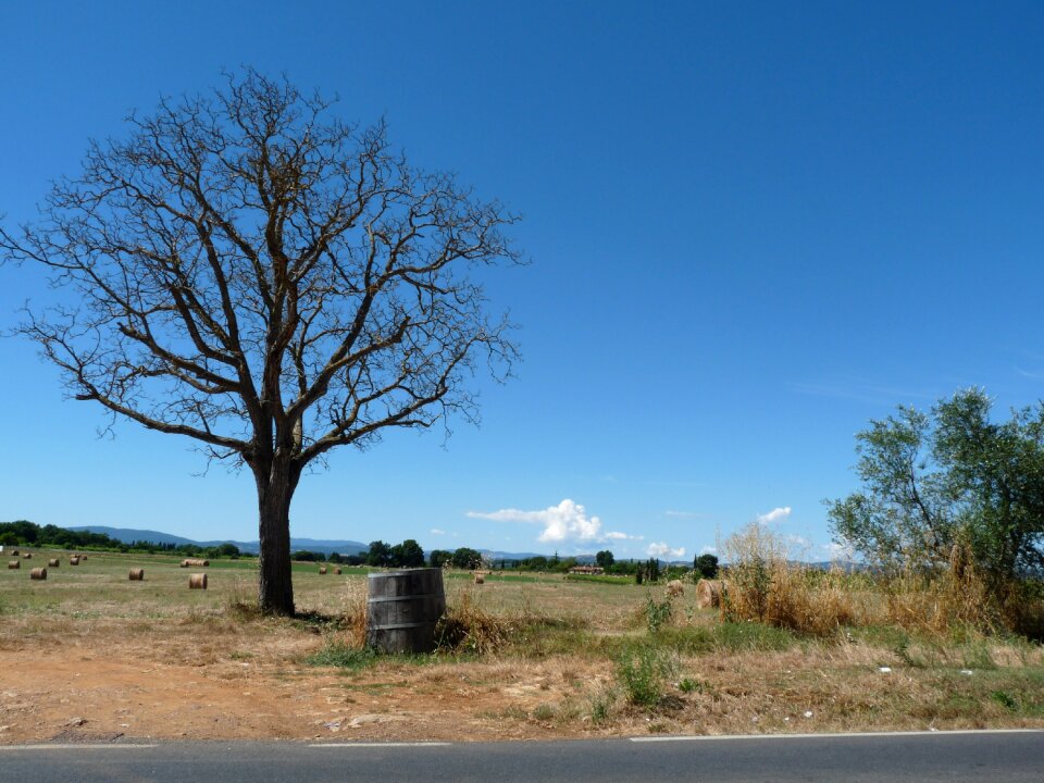 Summer tuscany landscape