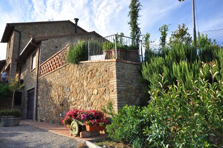 Grapeyard grape farm montepulciano
