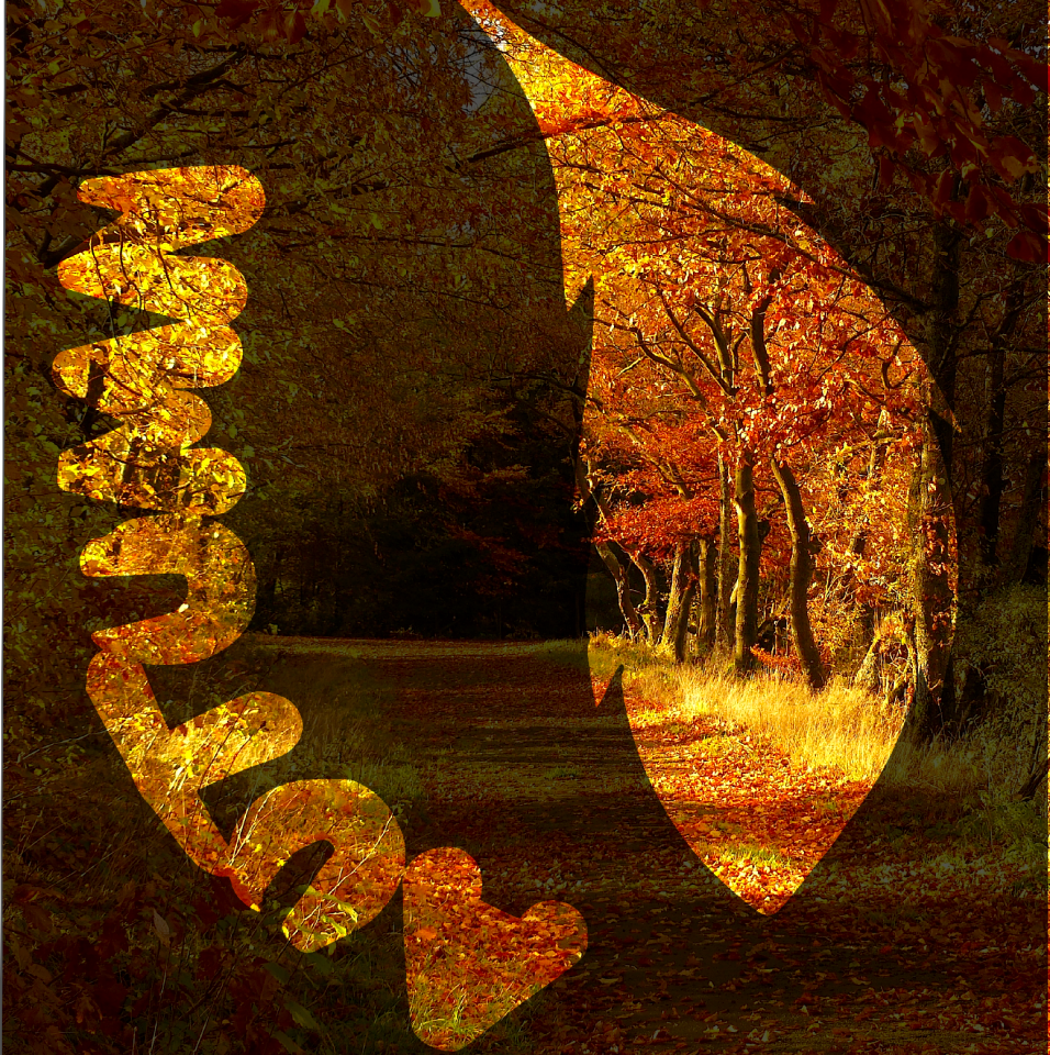 Autumn forest leaf outline scripture contour