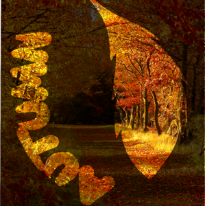 Autumn forest leaf outline scripture contour photo