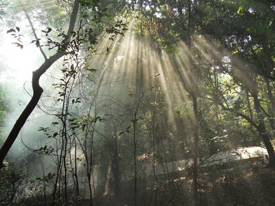 Yongfu fengshan park incident light