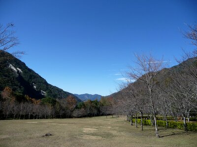 Taiwan auwanta blue day