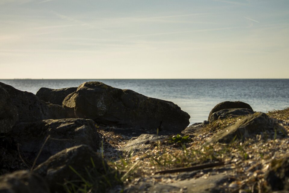 Stones shells sand photo