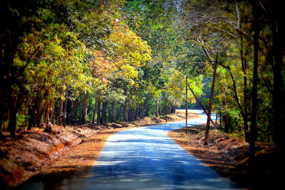 Landscape travel scenic