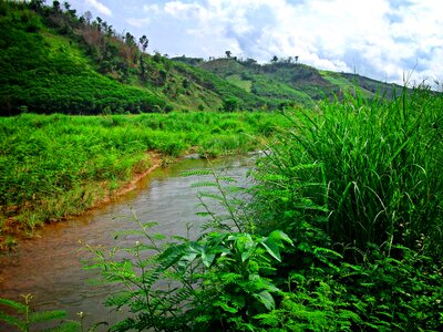 Thailand phayao asia