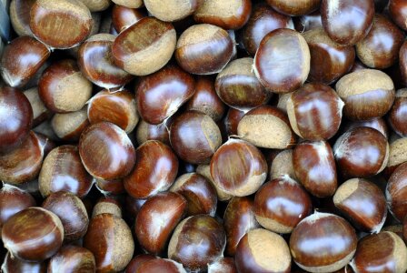 Rihei chestnut chestnut autumn