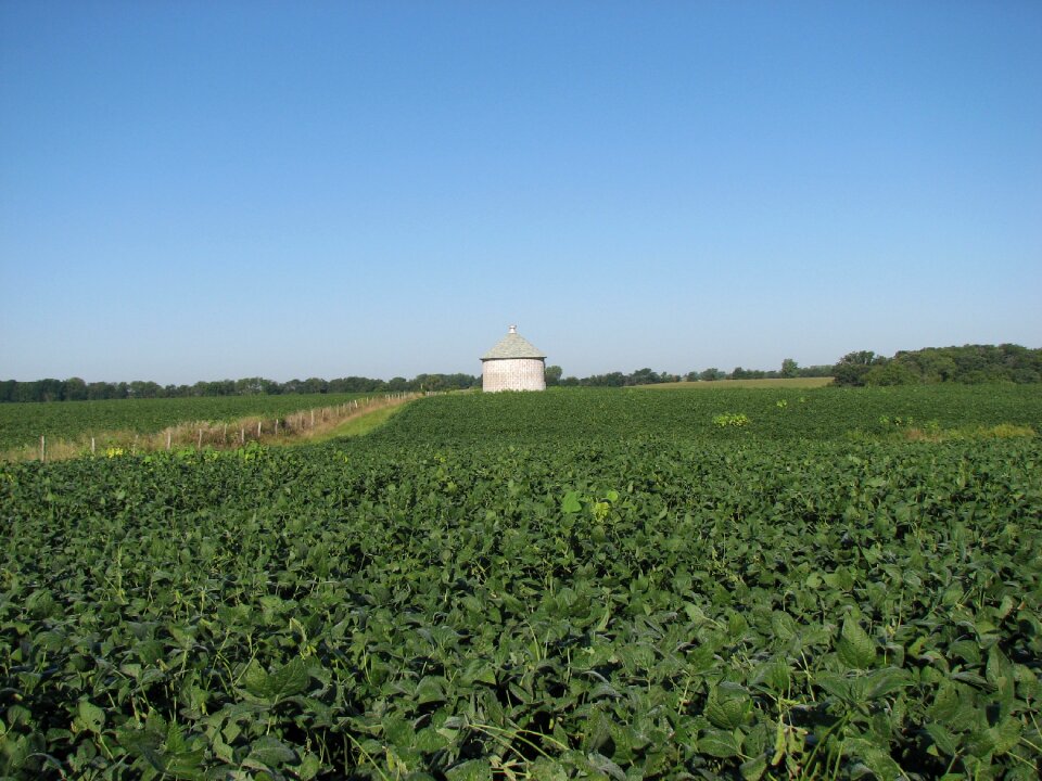 Farm rural agriculture
