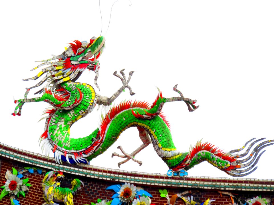 Long dragon animal